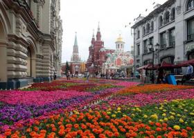 Седьмой московский фестиваль цветов в музеоне Где проходит фестиваль цветов